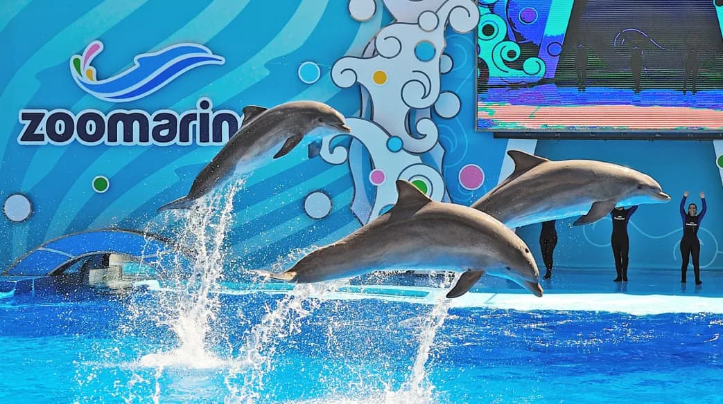 Zoomarine Algarve: Entrance Ticket
