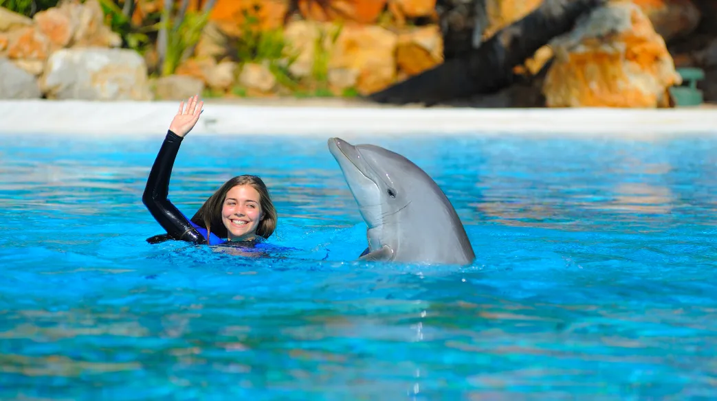 Dolphin Emotions