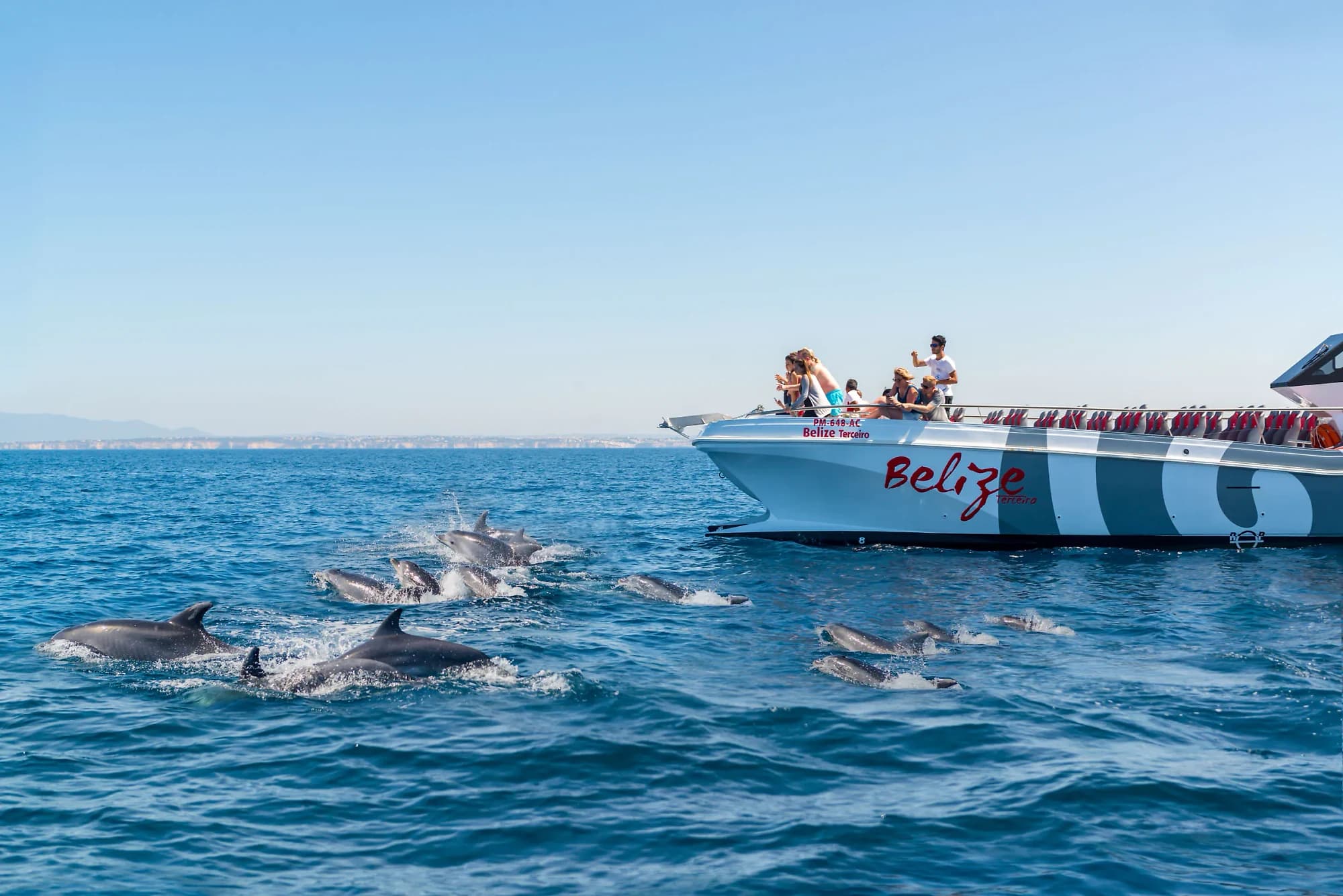 Lagos: Dolphins & Benagil Caves by Catamaran