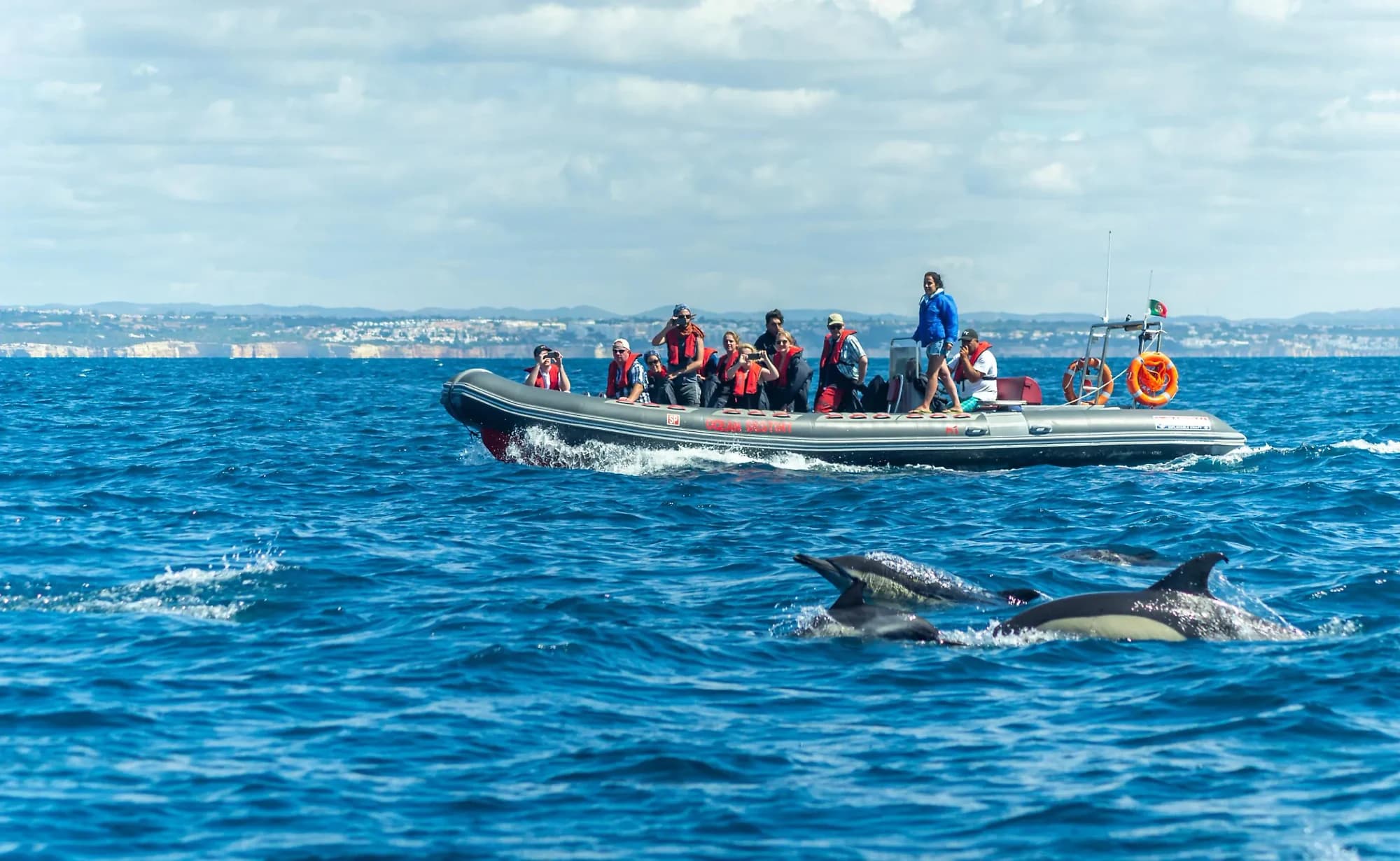 Lagos: Dolphins & Benagil Caves by Rib Boat